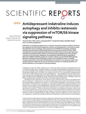 Antidepressant Indatraline Induces Autophagy and Inhibits Restenosis