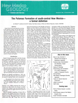 The Palomas Formation of South-Central New Mexico--A Formal