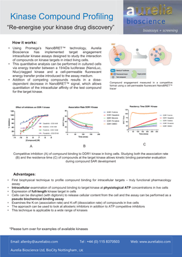 Kinase Compound Profiling