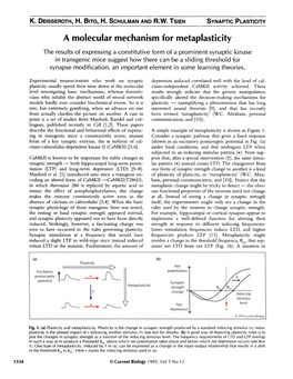 A Molecular Mechanism for Metaplasticity