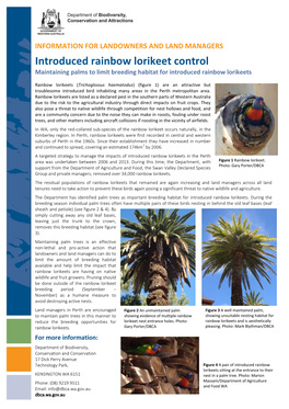 Introduced Rainbow Lorikeet Control669.51 KB