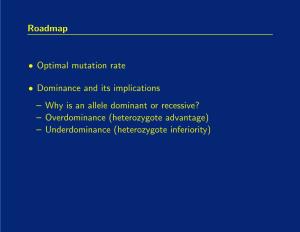 Roadmap • Optimal Mutation Rate • Dominance and Its Implications