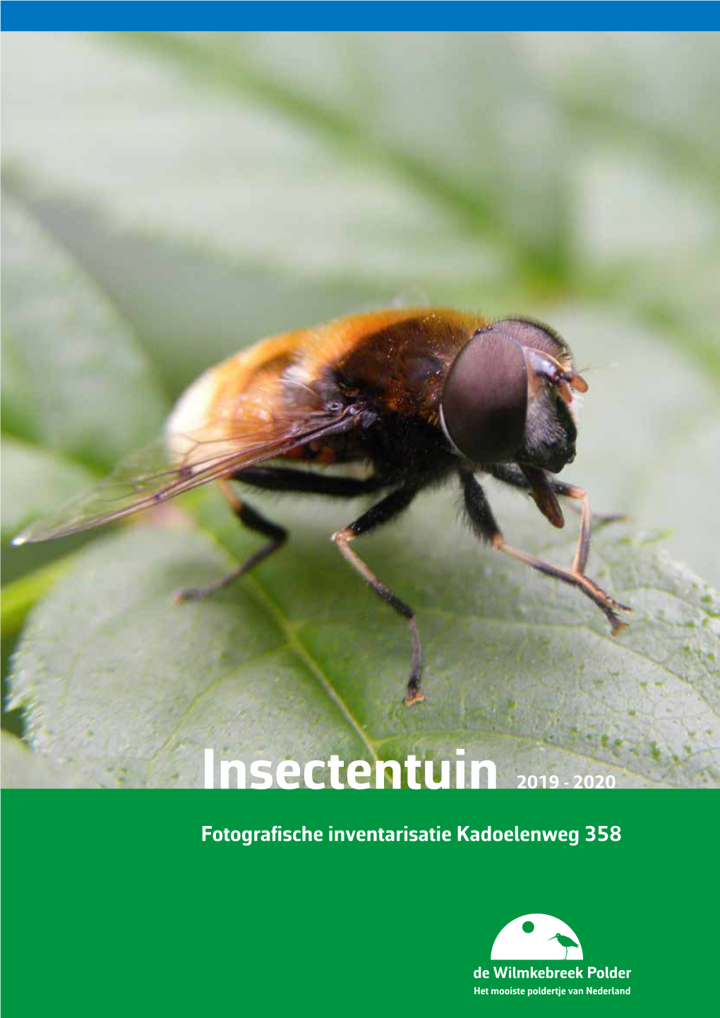 Insectentuin 2019 - 2020 Fotografische Inventarisatie Kadoelenweg 358
