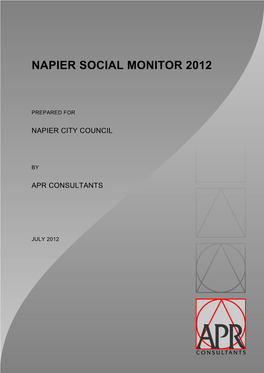 Napier Social Monitor 2012
