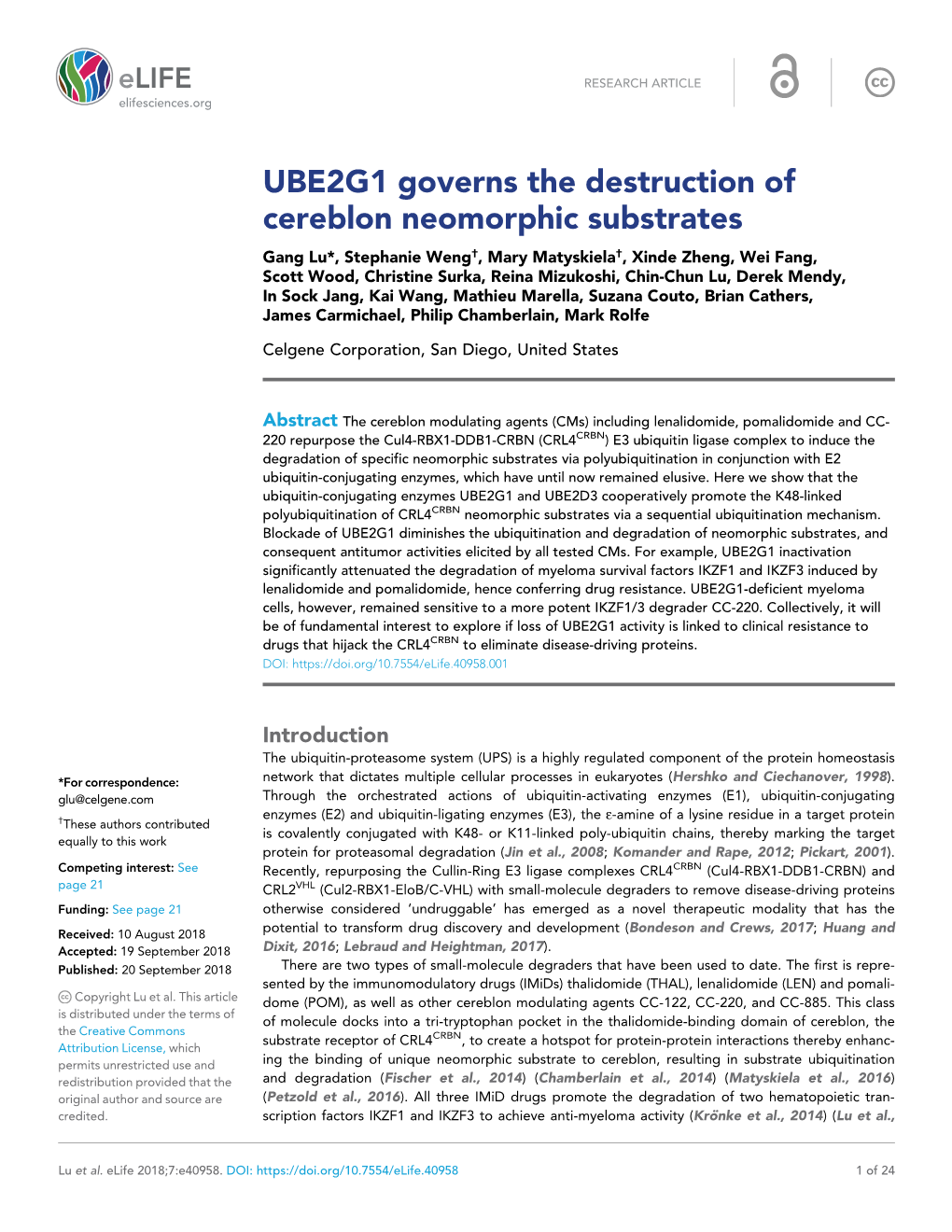 UBE2G1 Governs the Destruction of Cereblon Neomorphic Substrates