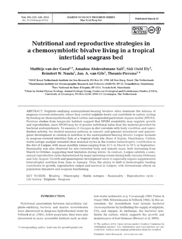 Nutritional and Reproductive Strategies in a Chemosymbiotic Bivalve Living in a Tropical Intertidal Seagrass Bed