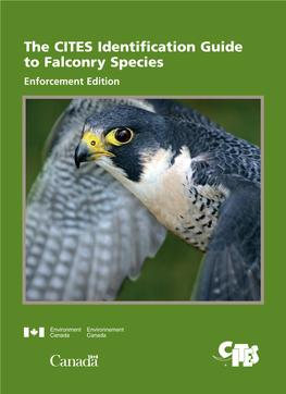 The CITES Identification Guide to Falconry Species Enforcement Edition