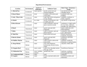 Handout on Depositional Environments
