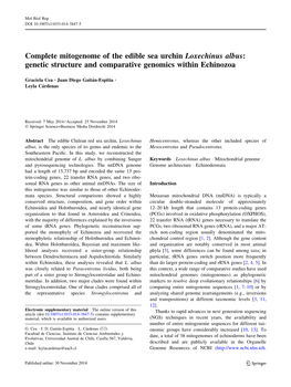 Complete Mitogenome of the Edible Sea Urchin Loxechinus Albus: Genetic Structure and Comparative Genomics Within Echinozoa