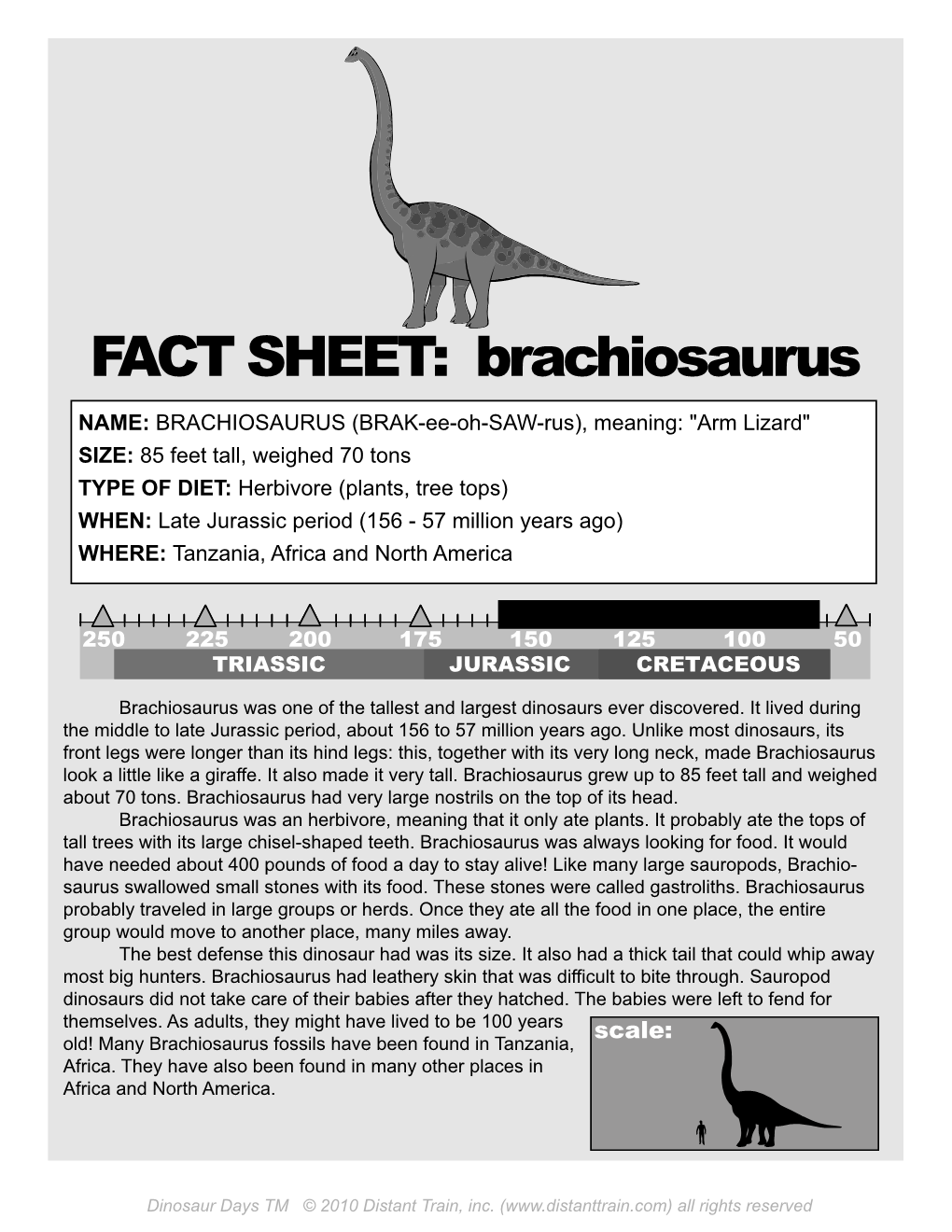 FACT SHEET: Brachiosaurus