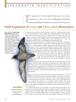 SHEARWATER IDENTIFICATION Field Separation of Sooty and Short