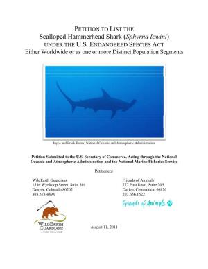 Scalloped Hammerhead Shark (Sphyrna Lewini) UNDER the U.S