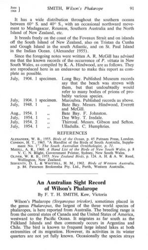 An Australian Sight Record of Wilson's Phalarope by F