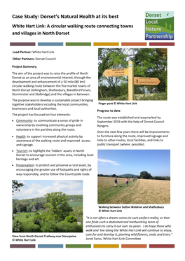 Case Study: Dorset's Natural Health at Its Best