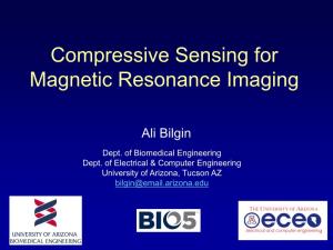 Compressive Sensing for Magnetic Resonance Imaging