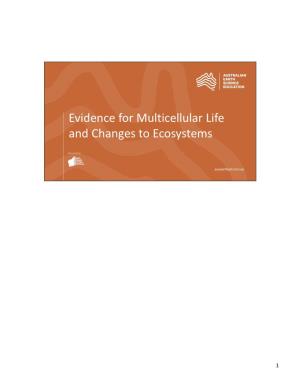 Multicellular Life and Changes to Ecosystems