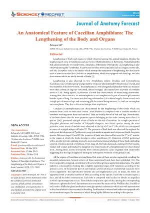 An Anatomical Feature of Caecilian Amphibians: the Lengthening of the Body and Organs