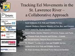 Tracking Eel Movements in the St. Lawrence River – a Collaborative Approach