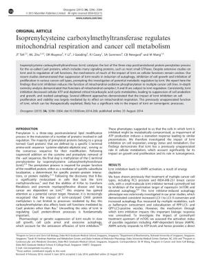 Isoprenylcysteine Carboxylmethyltransferase Regulates Mitochondrial Respiration and Cancer Cell Metabolism