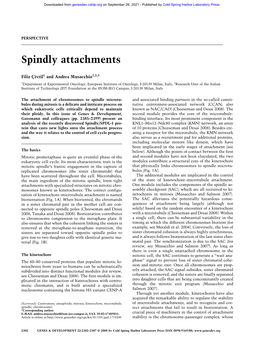 Spindly Attachments