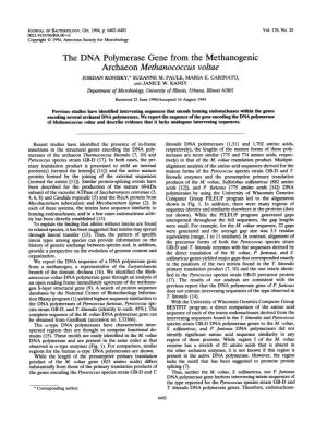 Archaeon Methanococcus Voltae JORDAN KONISKY,* SUZANNE M