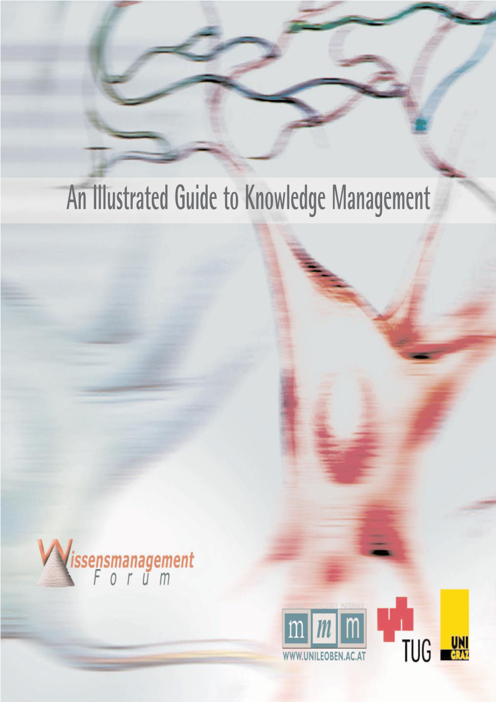 An Illustrated Guide to Knowledge Management Contents