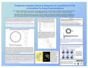 Proteomics Assissted Genome Sequence of Cyanothece 51142, A