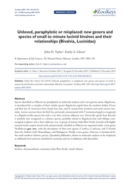 Bivalves and Their Relationships (Bivalvia, Lucinidae)