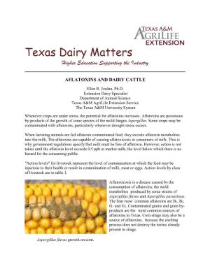 Aflatoxins and Dairy Cattle