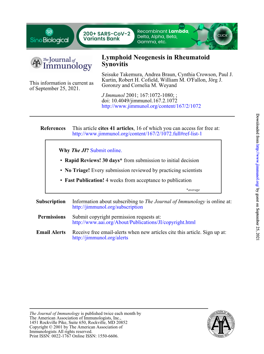 Synovitis Lymphoid Neogenesis in Rheumatoid