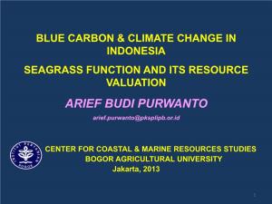 Blue Carbon in Seagrass Ecosystems
