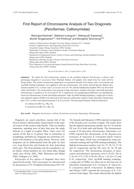 First Report of Chromosome Analysis of Two Dragonets (Perciformes, Callionymidae)