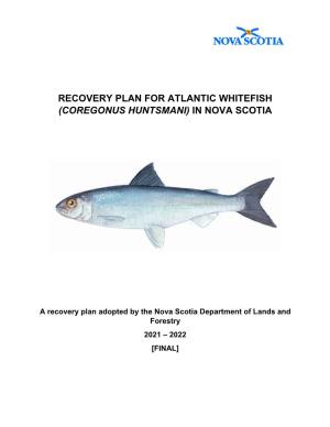 Recovery Plan for Atlantic Whitefish (Coregonus Huntsmani) in Nova Scotia