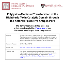 Polylysine-Mediated Translocation of the Diphtheria Toxin Catalytic Domain Through the Anthrax Protective Antigen Pore