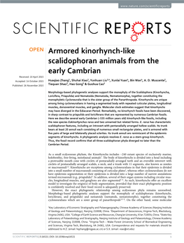 Armored Kinorhynch-Like Scalidophoran Animals from The