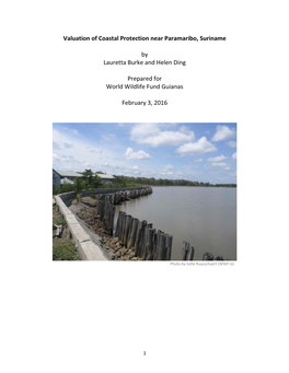 Valuation of Coastal Protection Near Paramaribo, Suriname by Lauretta