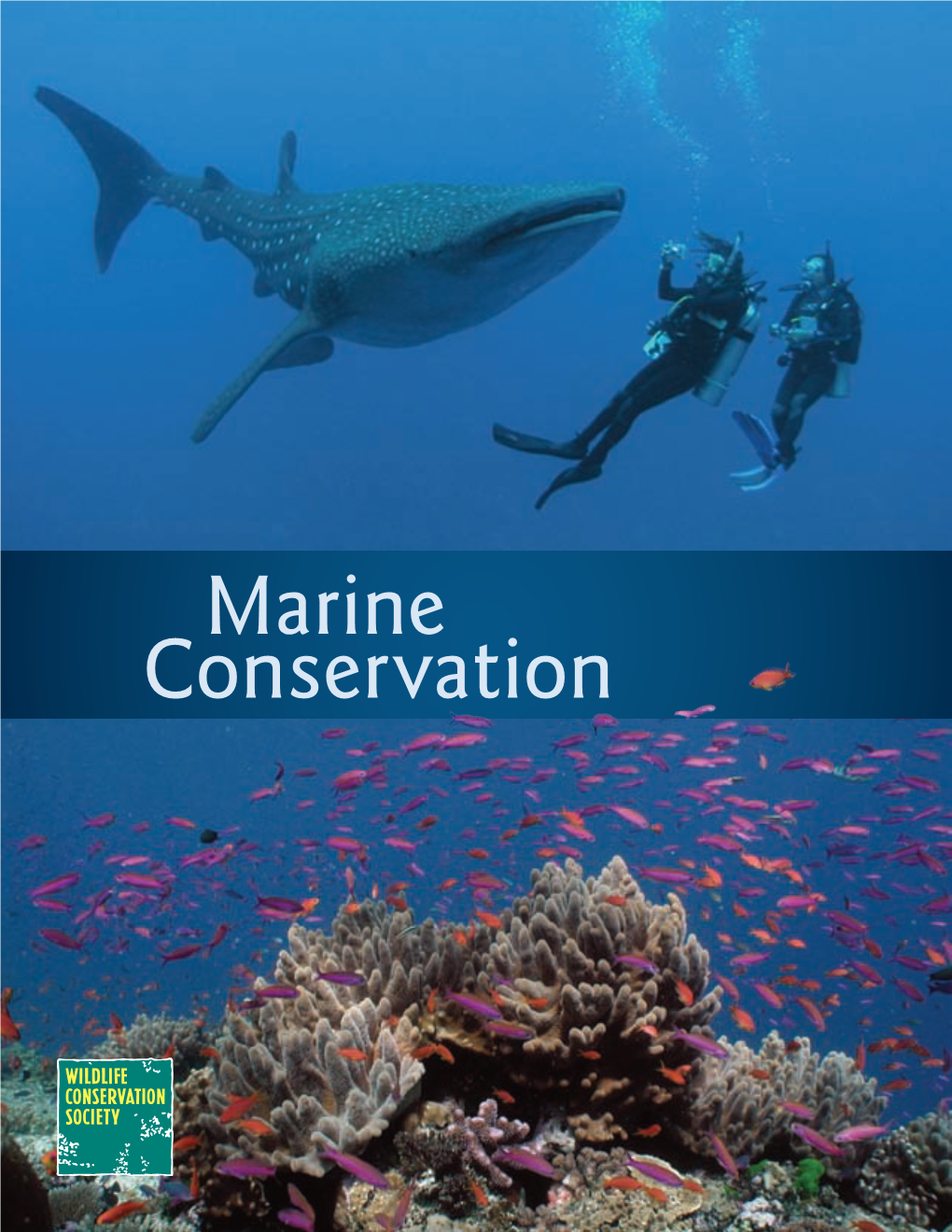 Marine Conservation