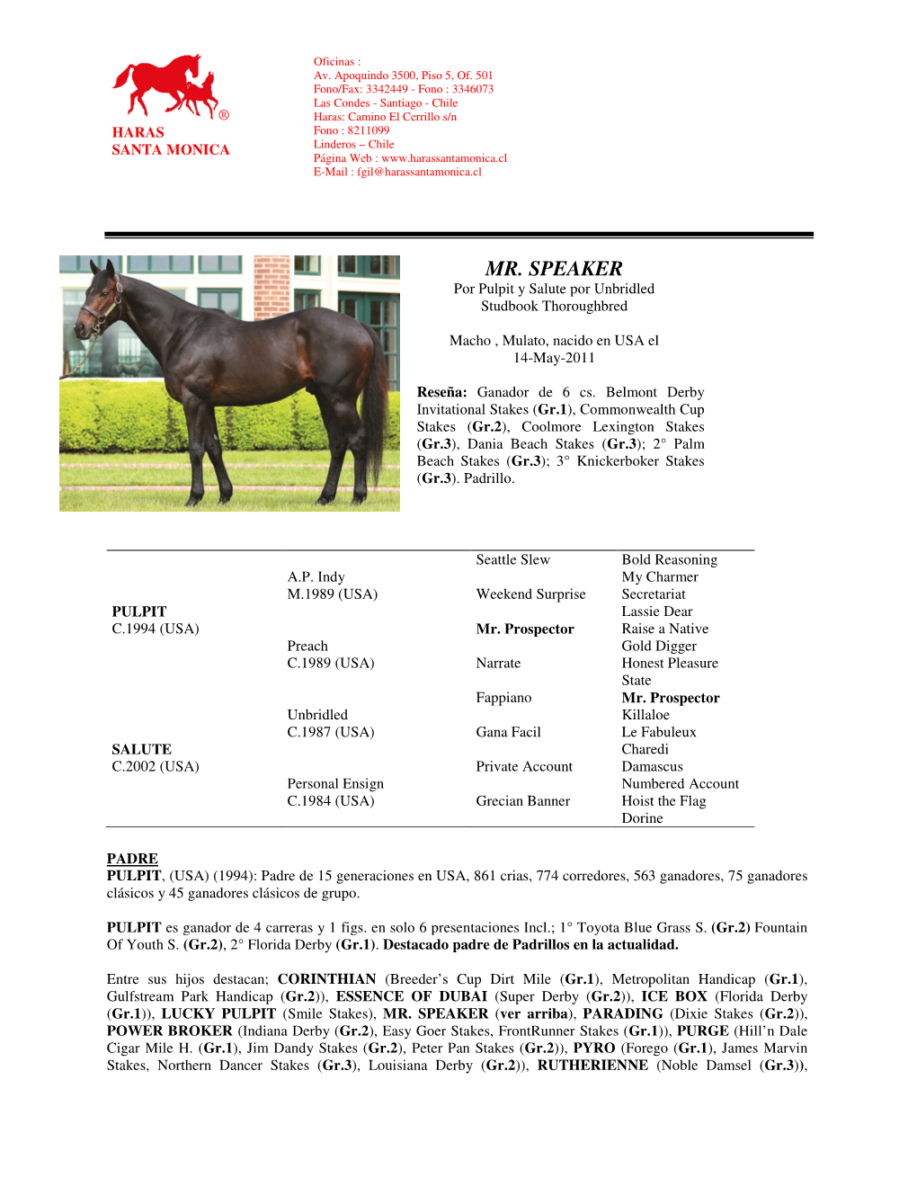 MR. SPEAKER Por Pulpit Y Salute Por Unbridled Studbook Thoroughbred