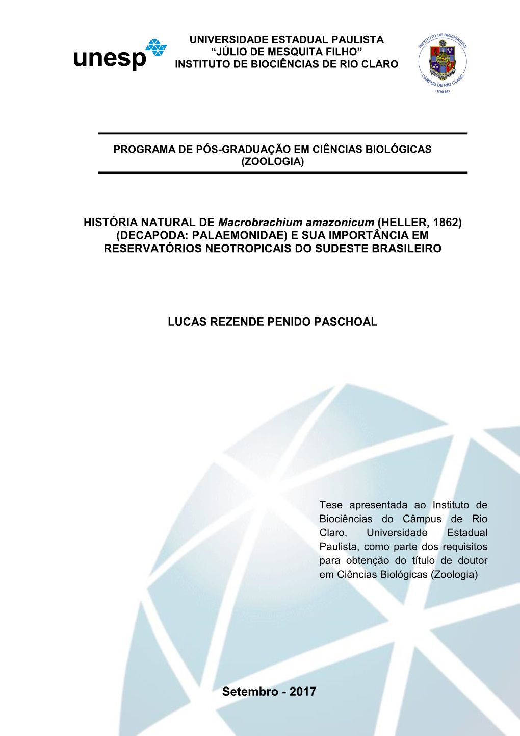 Paschoal Lrp Dr Rcla Int.Pdf