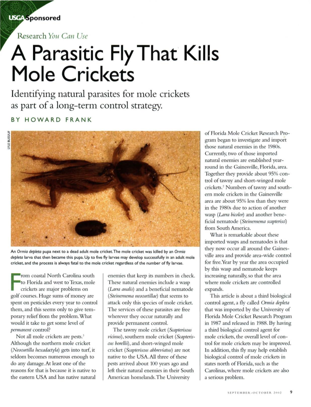 A Parasitic Flythat Kills Mole Crickets Identifying Natural Parasites for Mole Crickets As Part of a Long-Term Control Strategy