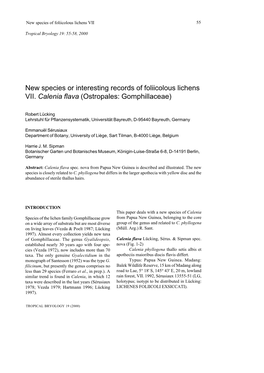 New Species Or Interesting Records of Foliicolous Lichens VII. Calenia Flava (Ostropales: Gomphillaceae)