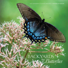 Backyards for Butterflies