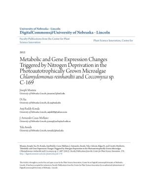 Metabolic and Gene Expression Changes Triggered by Nitrogen Deprivation in the Photoautotrophically Grown Microalgae Chlamydomonas Reinhardtii and Coccomyxa Sp
