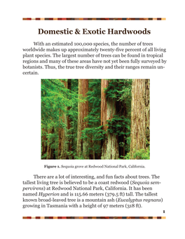 Domestic & Exotic Hardwoods