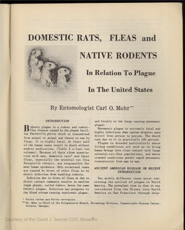 DOMESTIC RATS, FLEAS and NATIVE RODENTS