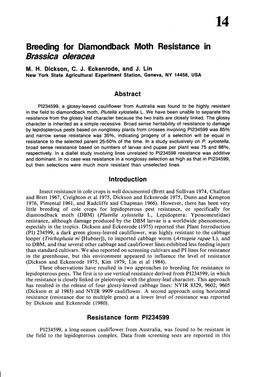 Breeding for Diamondback Moth Resistance in Brassica Oleracea M