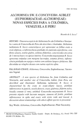 Alchornea Sw. E Conceveiba Aublet (Euphorbiaceae-Alchorneae): Novas Espécies Para a Colômbia, Venezuela E Peru