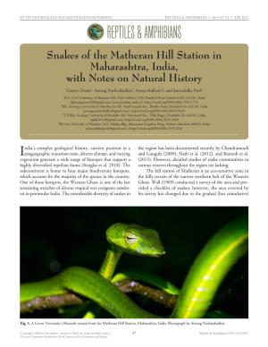 Snakes of the Matheran Hill Station in Maharashtra, India, with Notes on Natural History