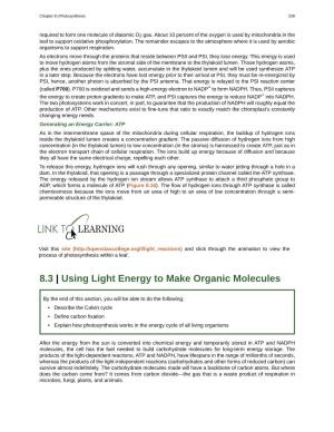 Using Light Energy to Make Organic Molecules