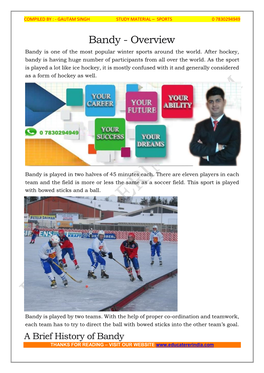Bandy - Overview Bandy Is One of the Most Popular Winter Sports Around the World